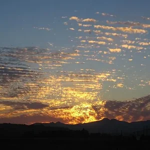 Beautiful sunset.webp