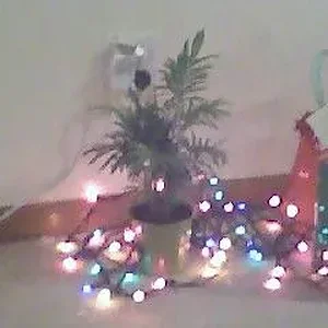 tiny christmas.webp