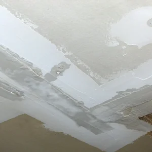 Garage Ceiling 2.webp