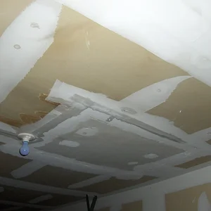 Garage Ceiling 3.webp