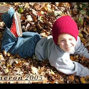 leaves copy (Small).webp