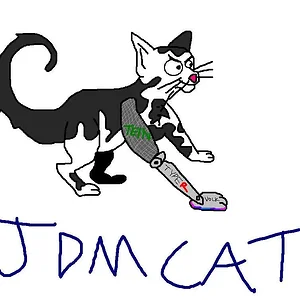 jdmcat.webp