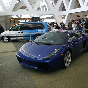 gallardo.webp
