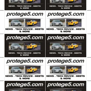 protege5cards.webp