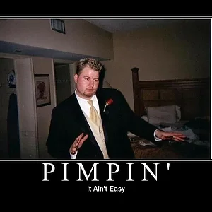pimpin.webp