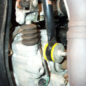 P1004027 - rotate.webp