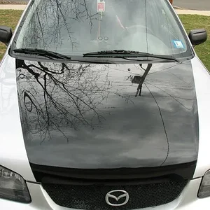 IMG_0837 smaller.webp