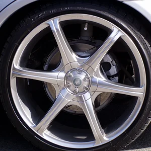 Robin's pics 001.webp