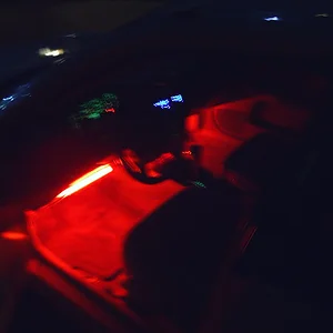 S4010019.webp