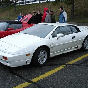 DSC00249 (Medium).webp