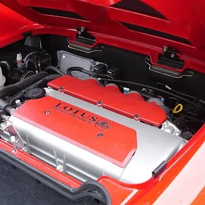 DSC00253 (Medium).webp