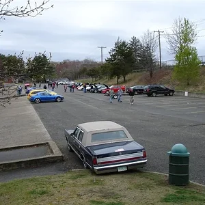 DSC00263 (Medium).webp