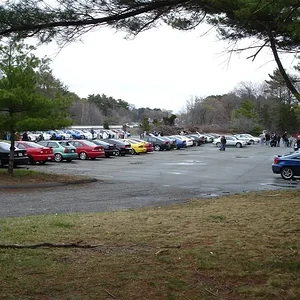 DSC00264 (Medium).webp