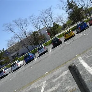 DSC00332 (Small).webp