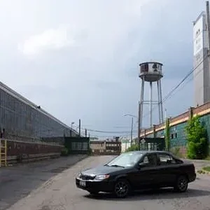 Picture 003crop.webp