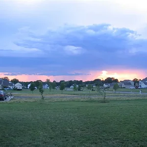 IMG_1935 (Large).webp