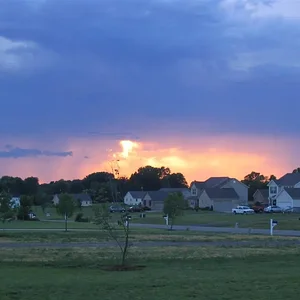 IMG_1933 (Large).webp