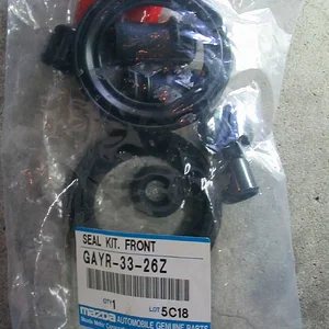 03 Seal Kit GAYR 33 26Z.webp