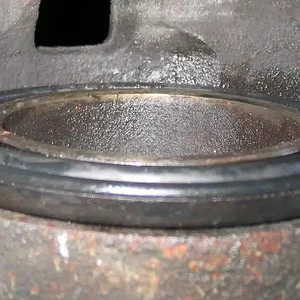 25 Dont Crush The New Dust Seal.webp