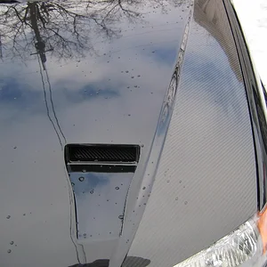 Painted hood1.JPG