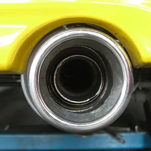 P1100201.jpg