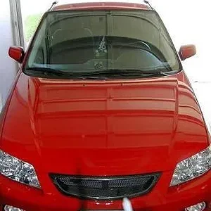 Drivin Miss Daisy.webp