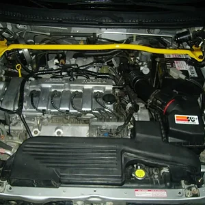 IMGP0454 (Large).webp