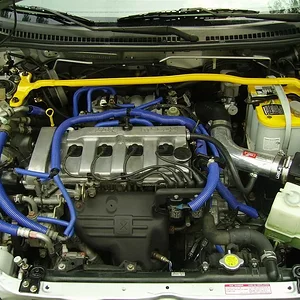 IMGP0499 (Large).webp