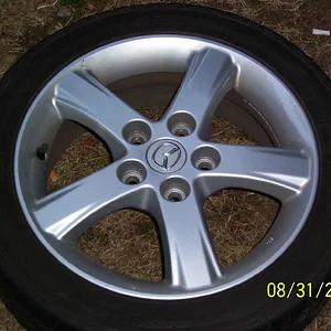 random pics 074.webp