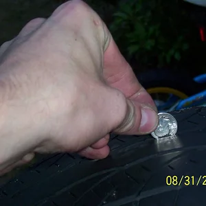 random pics 075.webp