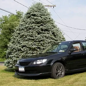 Picture 105crop.webp