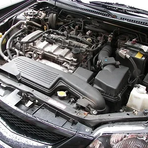 Picture 295crop.webp