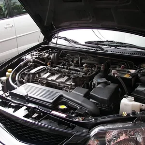 Picture 296crop.webp