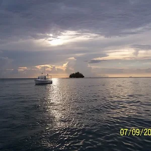 Resize of ET 01 295.webp