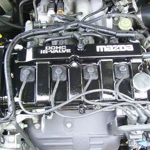 IMGP0508 (Large).webp