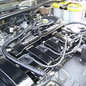 IMGP0507 (Large).webp