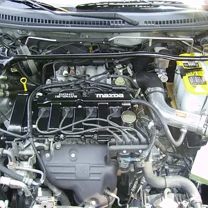 IMGP0505 (Large).webp