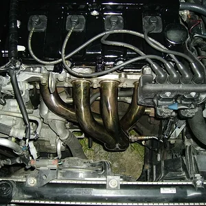 IMGP0510 (Large).webp