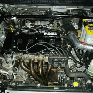 IMGP0509 (Large).webp