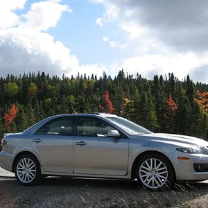 IMG_0145 (Large).webp