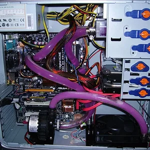 IMGP0511 (Large).webp