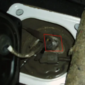 P1010022 - edit.webp