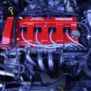 IMGP0555 (Large).webp