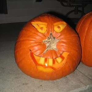 IMG_2395 (Large).webp