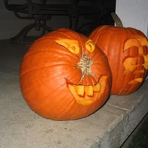 IMG_2396 (Large).webp