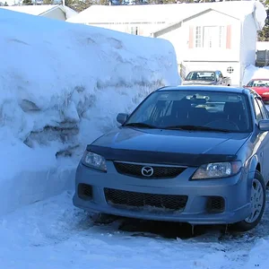 IMG_0025 (Large).webp