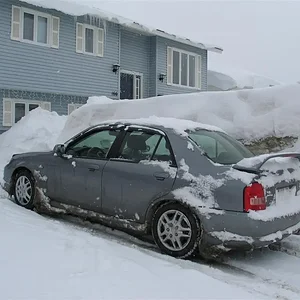 IMG_0037 (Large).webp