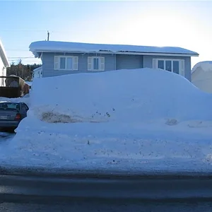 snow (Large) (2).webp