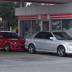 savannah 029edit.webp