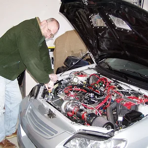 bruce is the man 1.webp